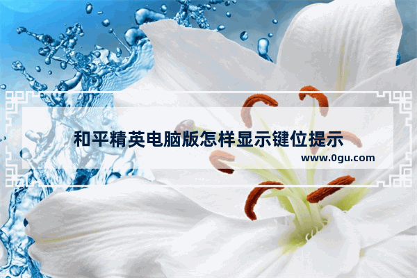 和平精英电脑版怎样显示键位提示