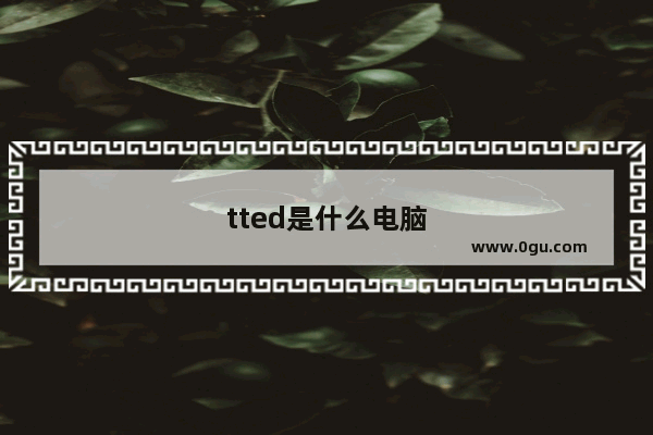 tted是什么电脑