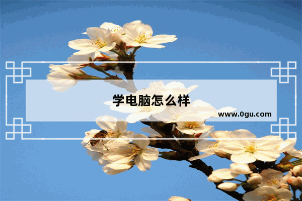 学电脑怎么样
