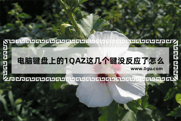 电脑键盘上的1QAZ这几个键没反应了怎么办呐