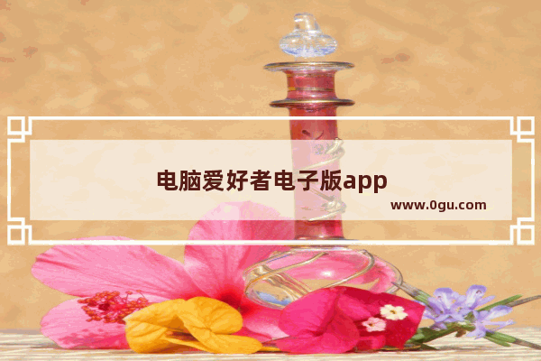电脑爱好者电子版app