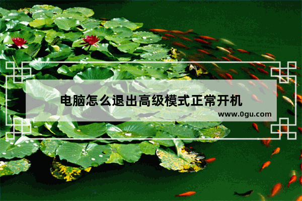 电脑怎么退出高级模式正常开机