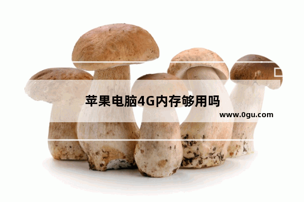 苹果电脑4G内存够用吗
