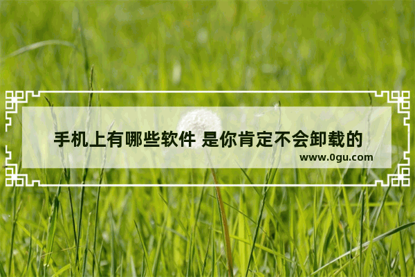 手机上有哪些软件 是你肯定不会卸载的
