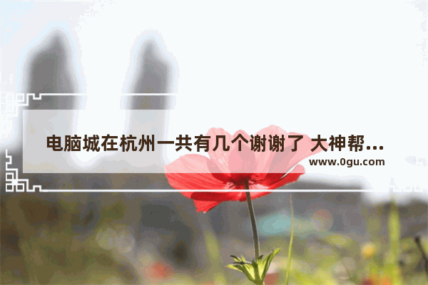 电脑城在杭州一共有几个谢谢了 大神帮忙啊