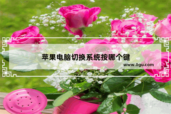 苹果电脑切换系统按哪个键