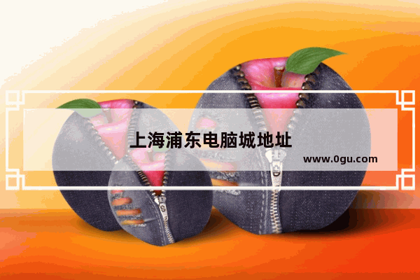 上海浦东电脑城地址