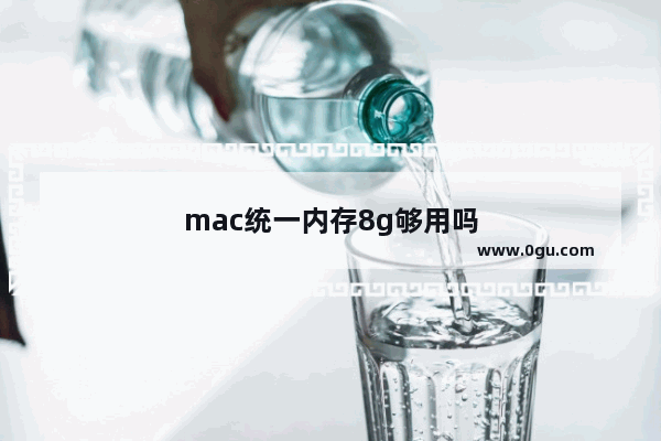 mac统一内存8g够用吗