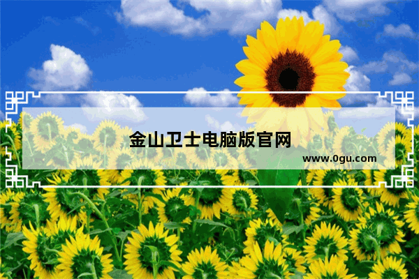 金山卫士电脑版官网