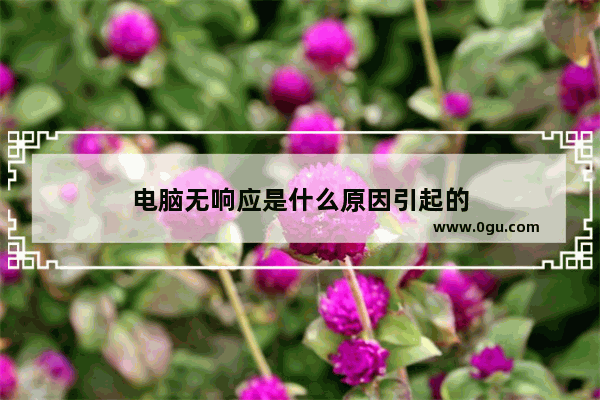电脑无响应是什么原因引起的