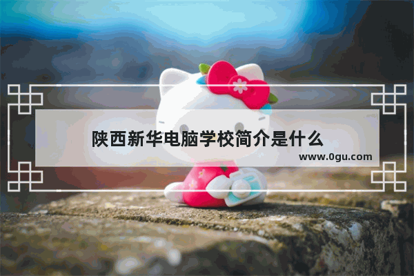 陕西新华电脑学校简介是什么