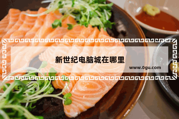新世纪电脑城在哪里