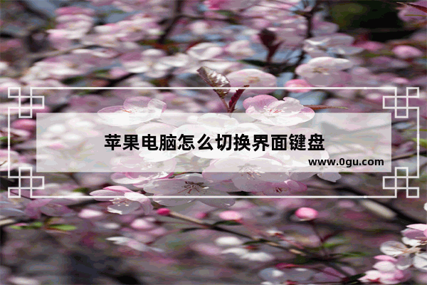 苹果电脑怎么切换界面键盘
