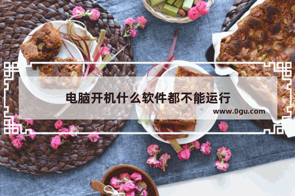 电脑开机什么软件都不能运行
