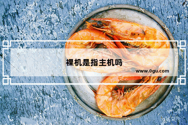 裸机是指主机吗