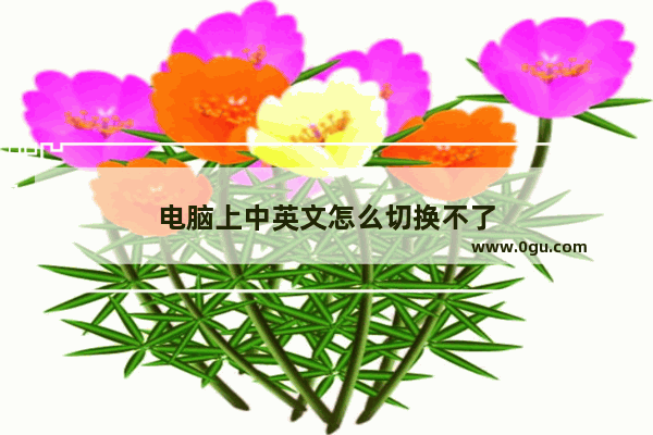 电脑上中英文怎么切换不了