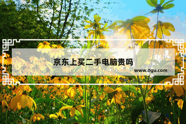 京东上买二手电脑贵吗