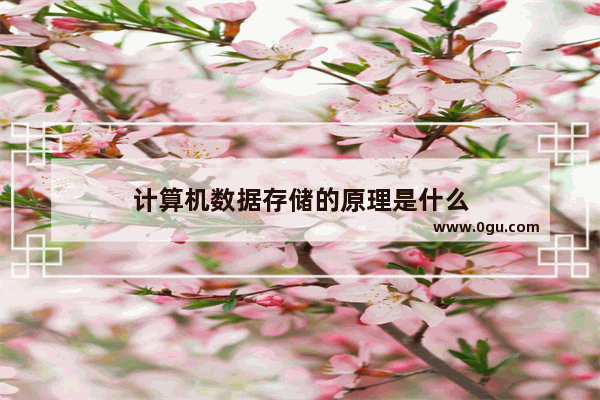 计算机数据存储的原理是什么
