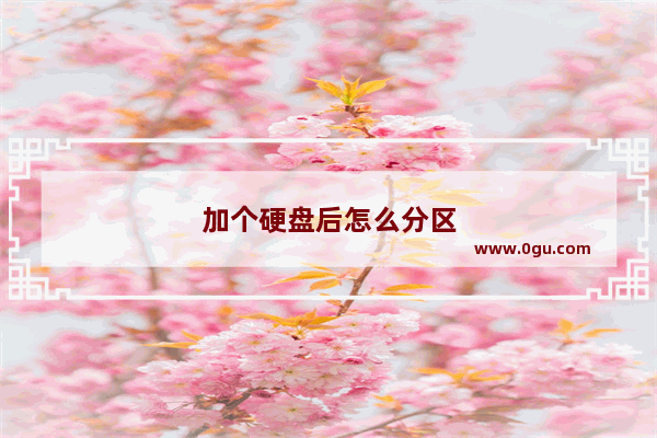 加个硬盘后怎么分区
