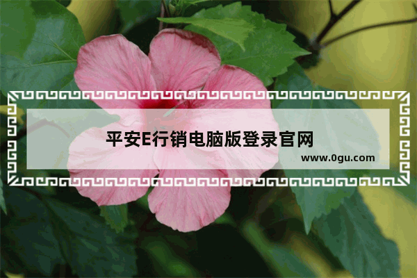 平安E行销电脑版登录官网