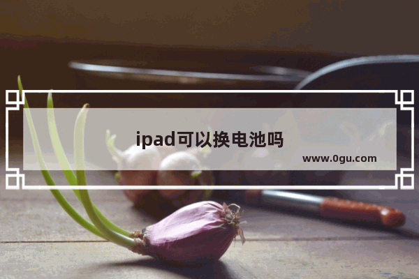 ipad可以换电池吗