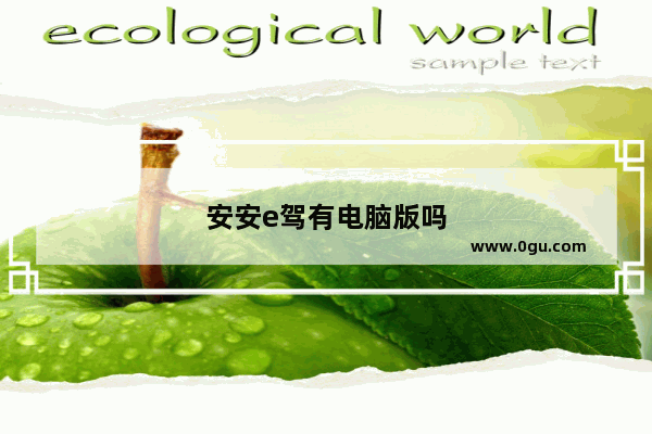 安安e驾有电脑版吗