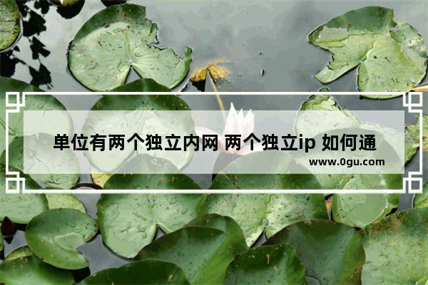 单位有两个独立内网 两个独立ip 如何通过一台电脑同时可以访问两个独立的内网呢