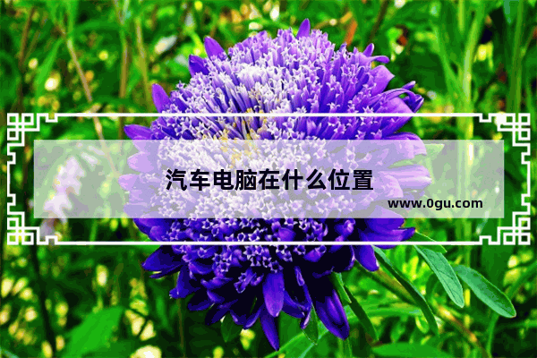 汽车电脑在什么位置