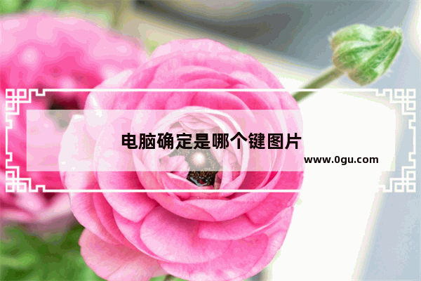 电脑确定是哪个键图片