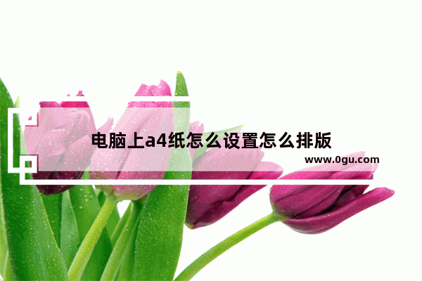 电脑上a4纸怎么设置怎么排版