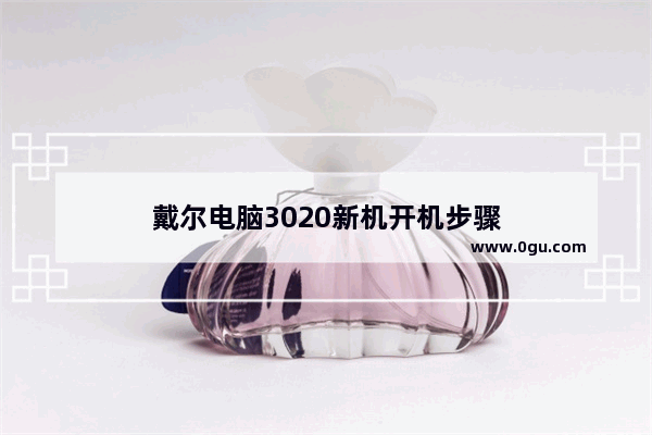 戴尔电脑3020新机开机步骤