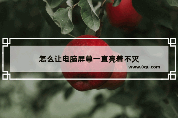 怎么让电脑屏幕一直亮着不灭