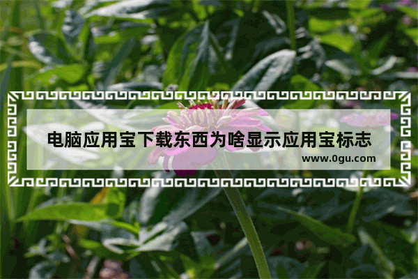 电脑应用宝下载东西为啥显示应用宝标志