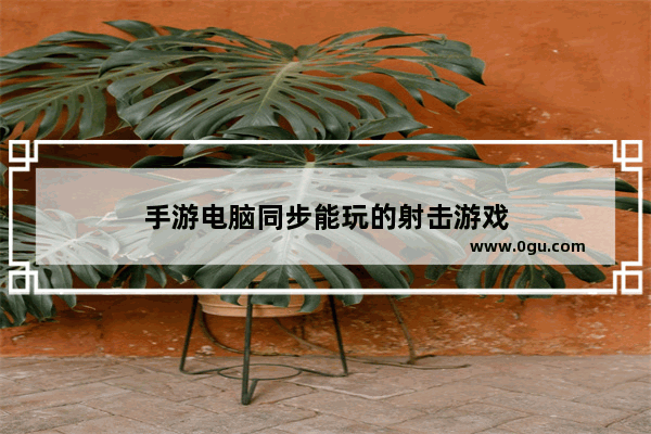 手游电脑同步能玩的射击游戏