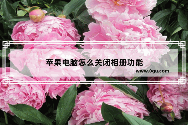 苹果电脑怎么关闭相册功能
