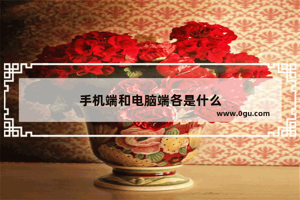 手机端和电脑端各是什么