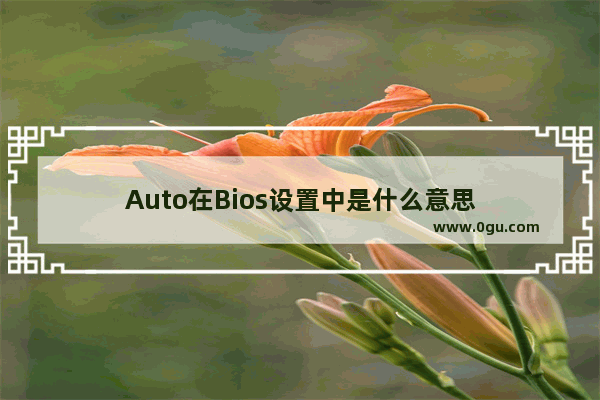 Auto在Bios设置中是什么意思