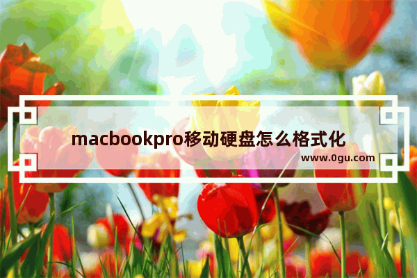 macbookpro移动硬盘怎么格式化