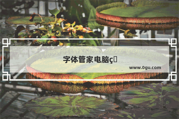 字体管家电脑版如何安装字体