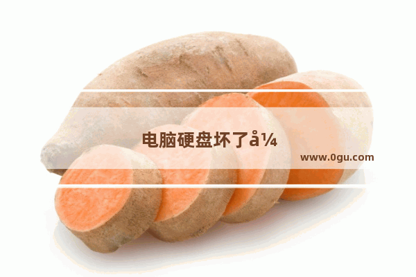 电脑硬盘坏了开不了机 店家跟我说一个硬盘500g要三百多 有懂得朋友给个建议谢谢