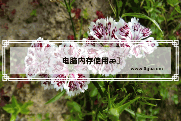 电脑内存使用情况在哪里看