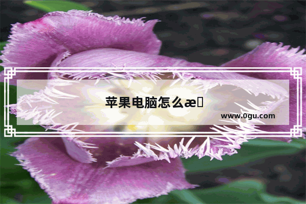 苹果电脑怎么插优盘啊