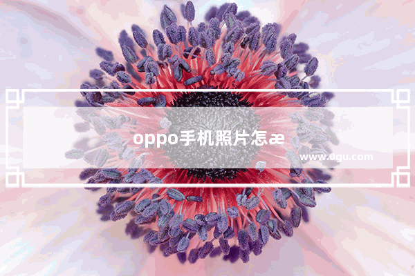 oppo手机照片怎样在电脑上显示