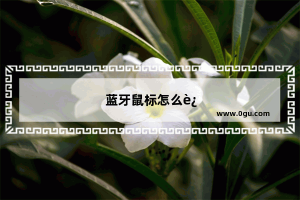 蓝牙鼠标怎么连接苹果电脑教程