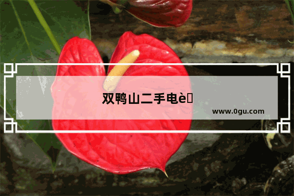 双鸭山二手电脑交易市场