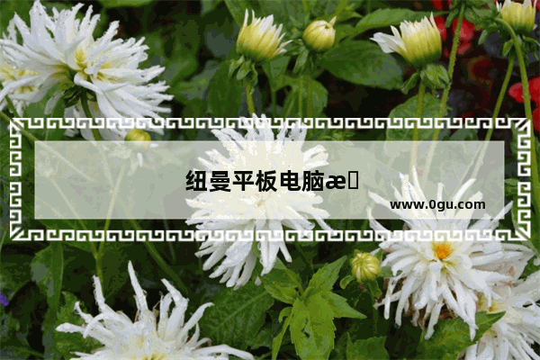 纽曼平板电脑怎么样值得买吗