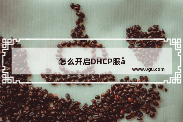 怎么开启DHCP服务