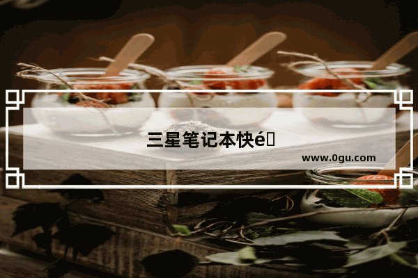 三星笔记本快速启动项