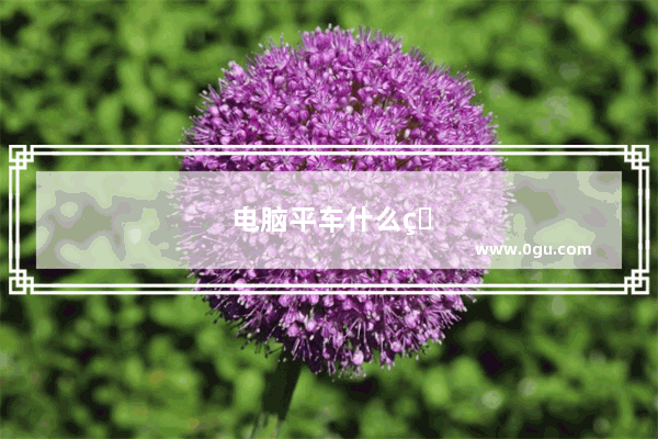 电脑平车什么牌子好