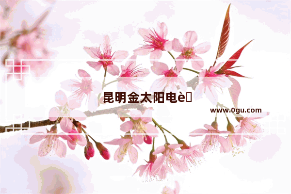 昆明金太阳电脑城